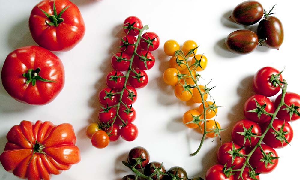 Lycopeen is een stof waarvan bekend is dat deze met name prostaatkanker remt. Deze komt voor in tomaten en wortelen. Door middel van veredeling zijn al rassen ontwikkeld die een hoger lycopeengehalte hebben.