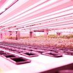GROWx verticale teelt