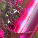 Nieuw LED-armatuur welkome aanvulling op SON-T