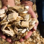 Telers in Vierpolders willen biomassacentrale voor bijstook aardwarmtenet