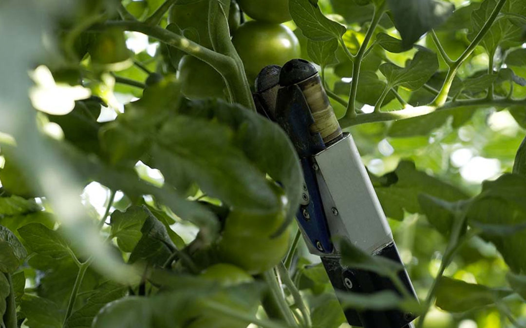 ‘We willen een product waar de teler ook echt iets aan heeft’