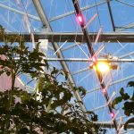 Meeste glastuinbouwbedrijven gaan 180% meer toeslag betalen