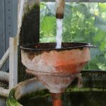 Van waterkwaliteit naar watervitaliteit, van strijd naar balans