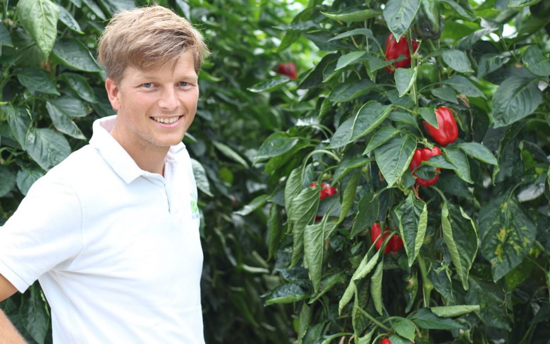 Coöperatief zonnedak op schuur Bleiswijkse paprikateler