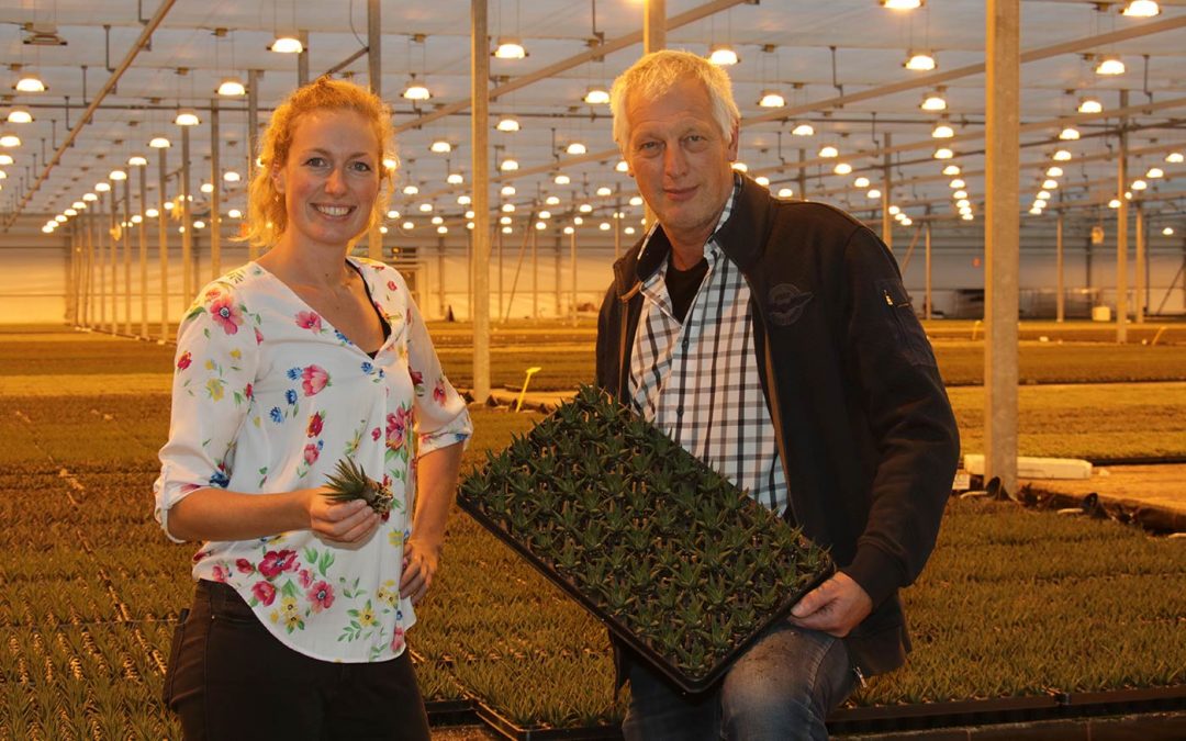 Gerard van Langen: ‘Gelukkig op tijd bouwmaterialen ingekocht’