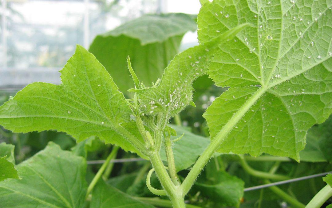 Innovatieprogramma met 50% financiering bedrijfsleven