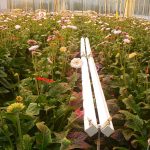 Combinatie LED-belichting en warmtebesparende maatregelen
