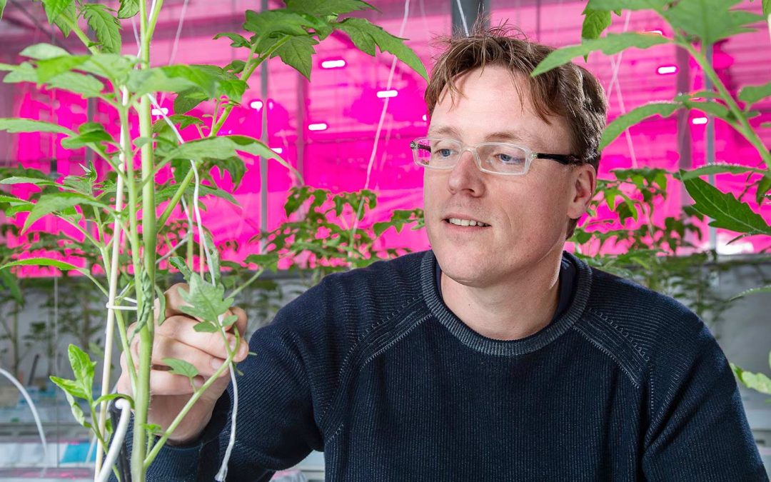 Onderzoeker Gerben Messelink hoogleraar bij Entomologie