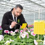 Biologisch werken geeft zuiverder beeld planteigenschappen