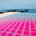 ‘Ik verwacht een run op aanschaf van LED in de kas’