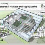Onderzoek naar micro-elektronica voor bewaking van planten