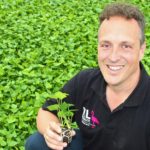 ‘Betere wortels en schoner water met beluchtingssysteem’