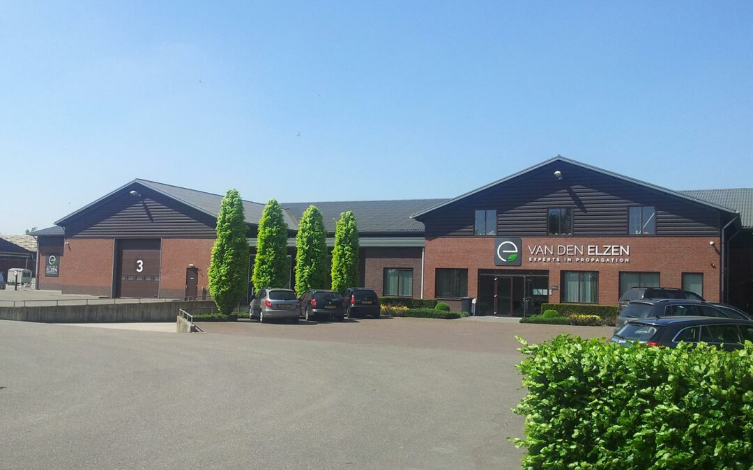 Het Broek Softfruit en Van den Elzen Plants gaan samen verder
