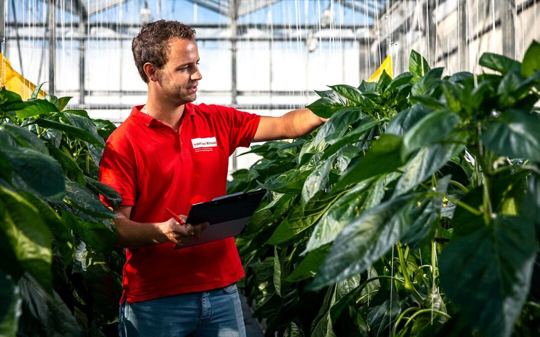 Circulair teeltsysteem bewijst zich in meerjarige proeven