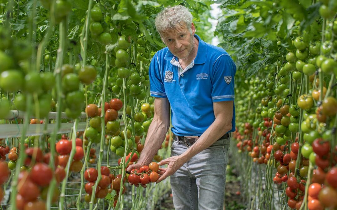 ‘Nieuwe beestjes zijn nodig als aanvulling op huidige bestrijders’