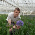 ‘Trips in cyrtanthus goed onder controle gekregen’