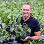 Potweb draait panty om pot phalaenopsis en voorkomt potworm