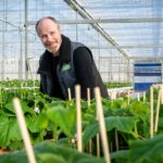 ‘Optimaal ontvochtigen en goed kasklimaat continue zoektocht’
