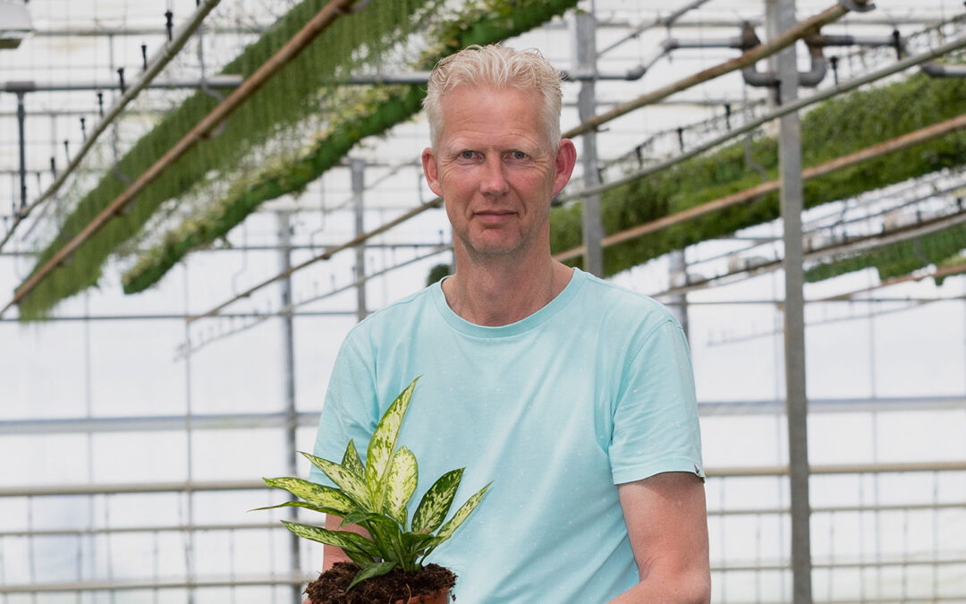 Elstgeest Potplanten vanaf dit jaar veenvrij en bijna chemievrij
