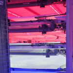 ‘Laten zien dat vertical farm in Nederland wel degelijk uit kan’