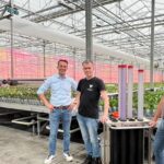 Veel lagere tripsdruk dankzij draaiende buizen boven teelttafel