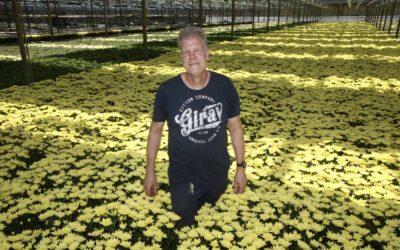 ‘Warmtepompontvochtiger geeft grip op klimaat en energie’