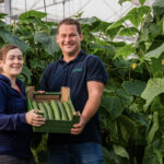 Komkommerteler Hagewest bouwt nieuwe kas voor aubergines
