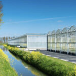 Route en kansenkaart emissieloos telen in de glastuinbouw