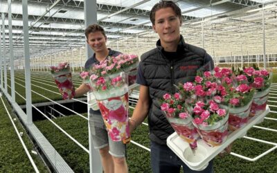 Nieuwbouw heeft verwachtingen volledig waargemaakt