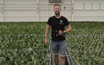 ‘Dankzij de drone zetten we biologie gerichter in tegen trips’