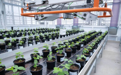 Onderzoek hoe planten groeien en reageren op hun omgeving